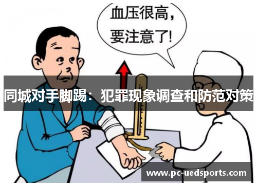 同城对手脚踢:犯罪现象调查和防范对策