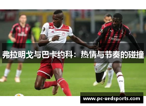 弗拉明戈与巴卡约科:热情与节奏的碰撞 弗拉明戈与巴卡约科:热情与节奏的碰撞